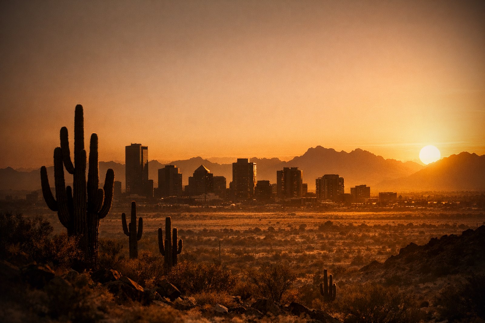 Phoenix's skyline low and sparse against a wide desert horizon, modest towers spaced apart, jagged bare mountains beyond the city, saguaro cacti catching warm light in the foreground.